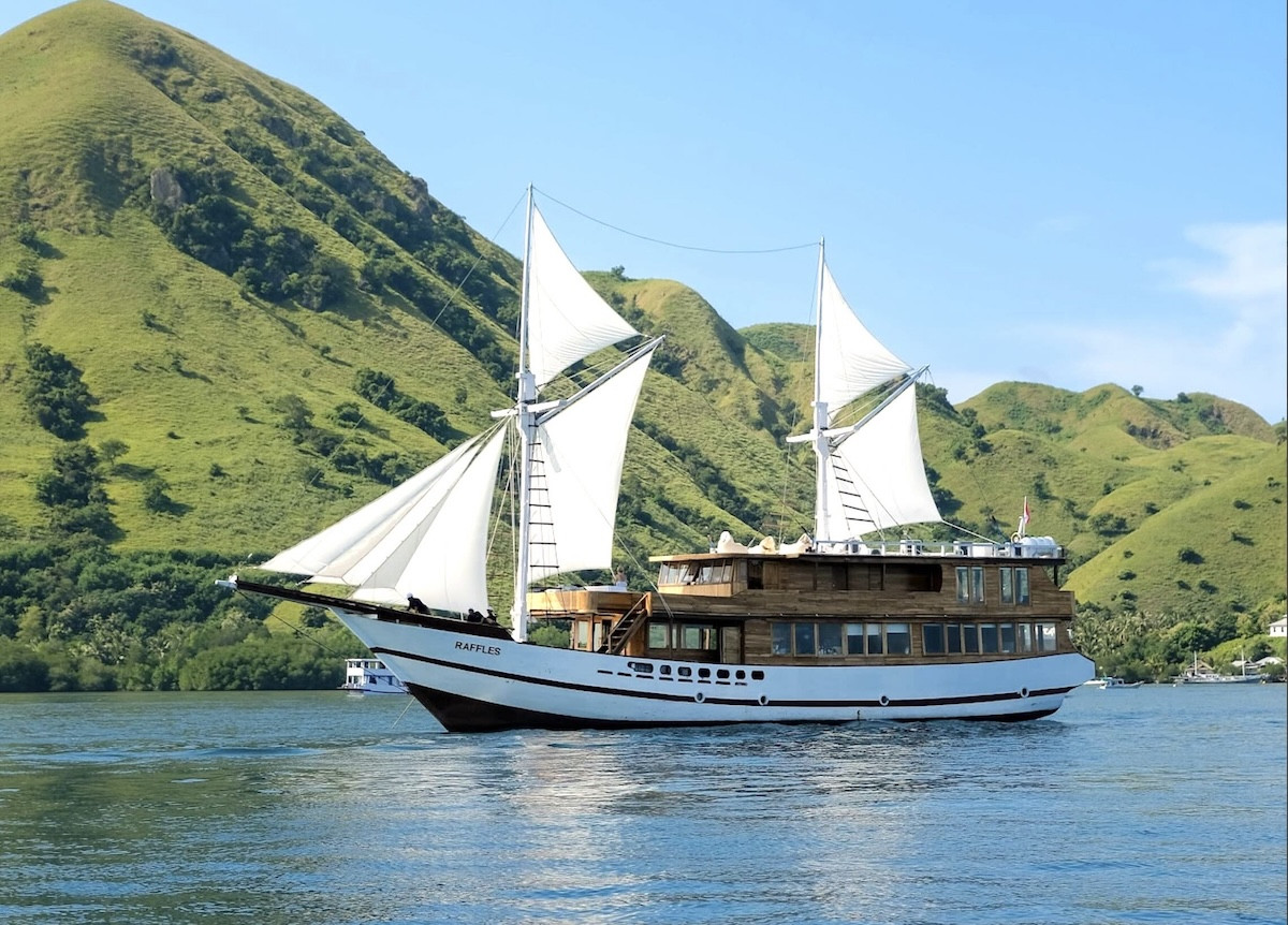 Raffles Cruise