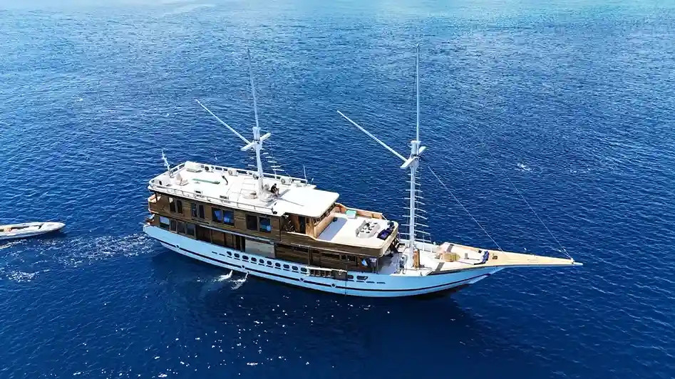 Raffles Cruise